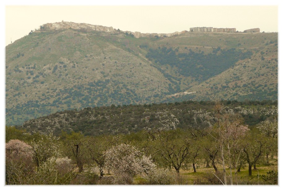 Le Steppe del Gargano